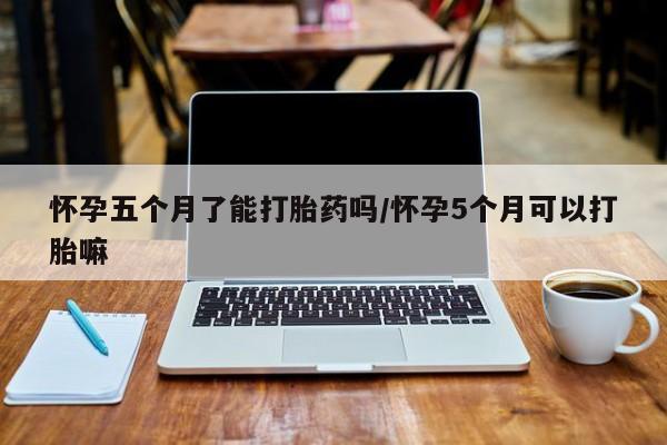 网上卖打胎药的微信怀孕五个月了能打胎药吗/怀孕5个月可以打胎嘛