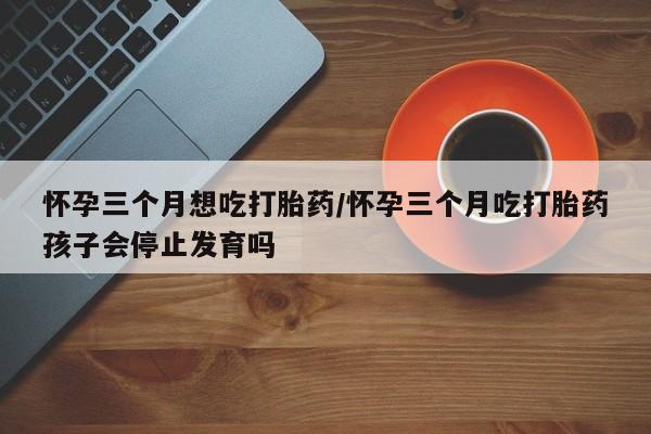 网上卖打胎药的微信怀孕三个月想吃打胎药/怀孕三个月吃打胎药孩子会停止发育吗