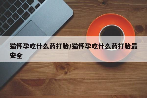 网上卖打胎药的微信猫怀孕吃什么药打胎/猫怀孕吃什么药打胎最安全
