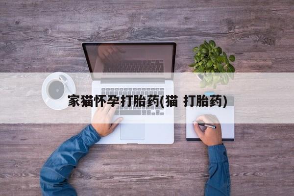 网上卖打胎药的微信家猫怀孕打胎药(猫 打胎药)