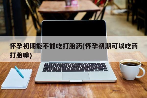 网上卖打胎药的微信怀孕初期能不能吃打胎药(怀孕初期可以吃药打胎嘛)